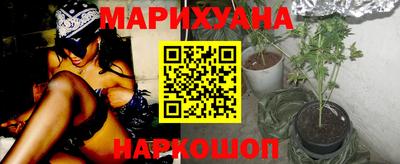 гидра Свободный