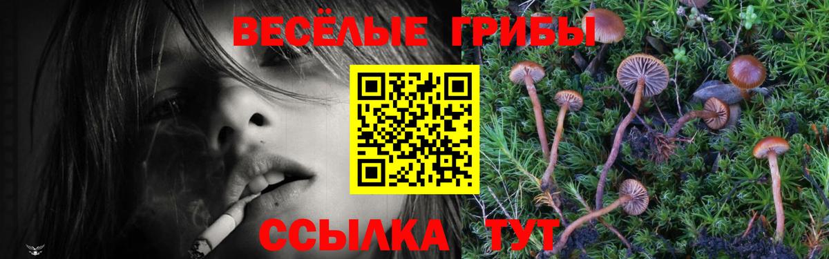 Галлюциногенные грибы MAGIC MUSHROOMS Октябрьский