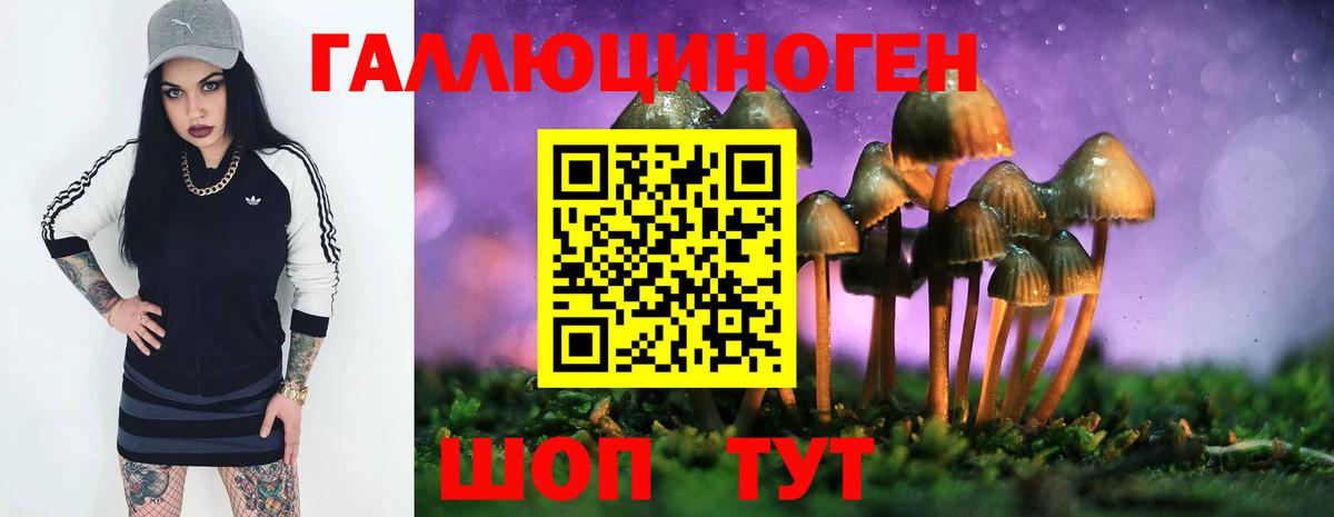 Галлюциногенные грибы GOLDEN TEACHER  цены   Октябрьский  Вход с VPN  Псилоцибиновые грибы MAGIC MUSHROOMS 